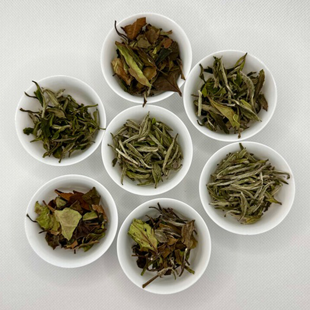 7teas_package_1000