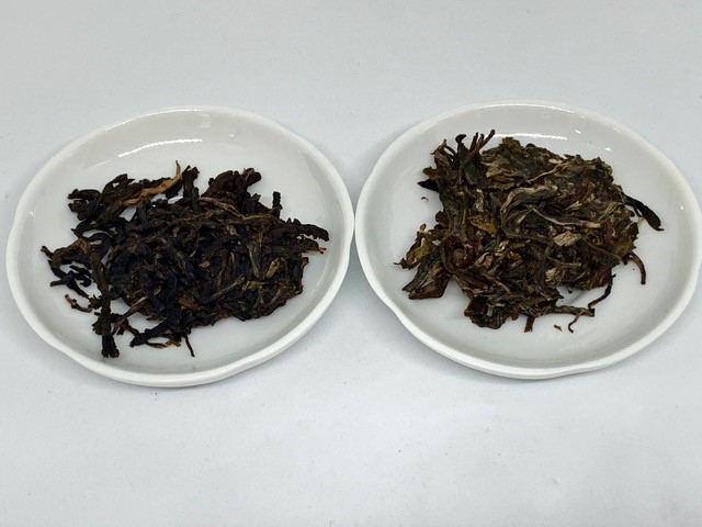 Aged vs Young Pu-erh Leaves
