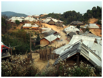 Tea Farming Village