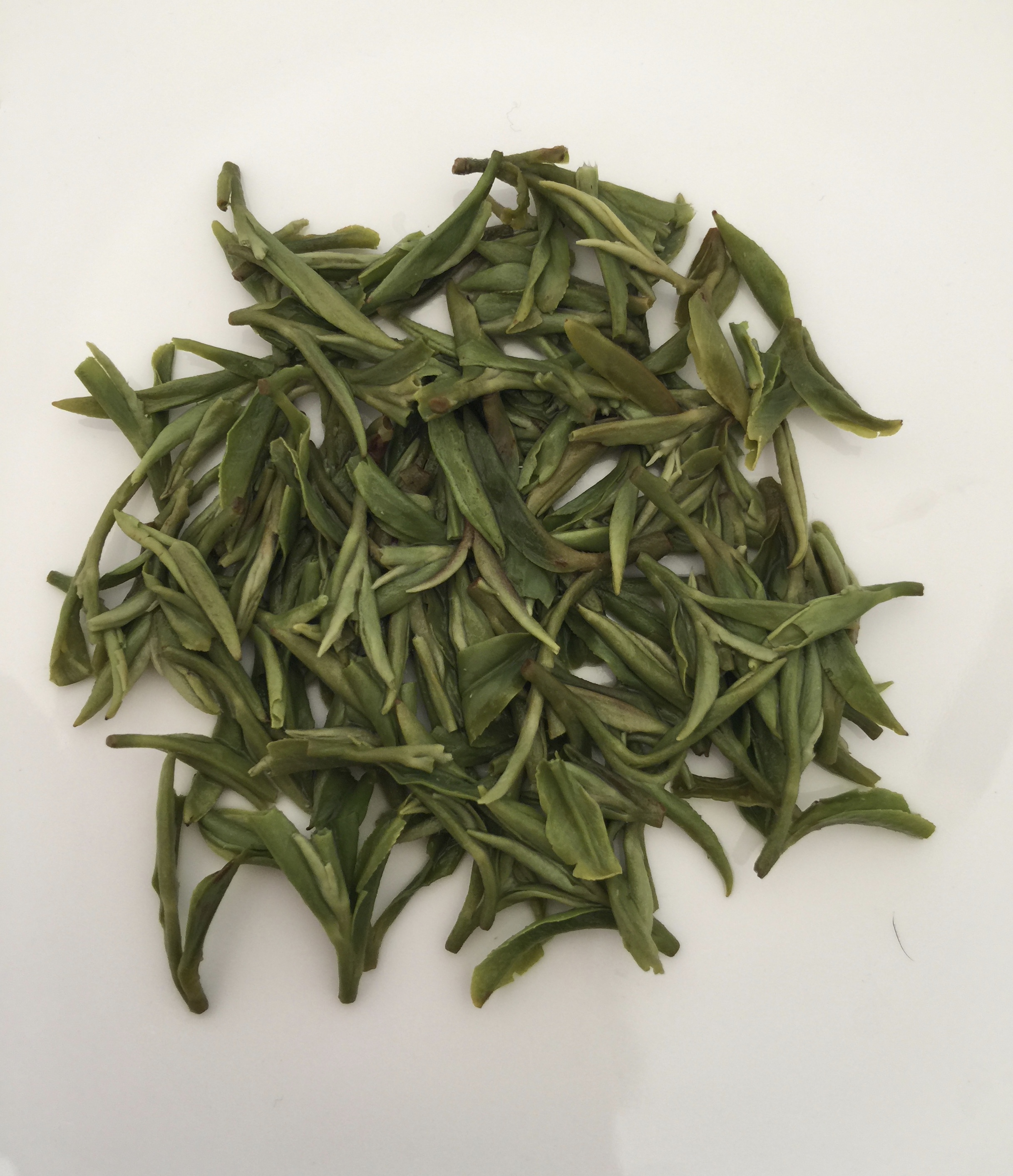 2021 Pre-Qingming Biluochun (Green Spiral Spring) Green Tea 1