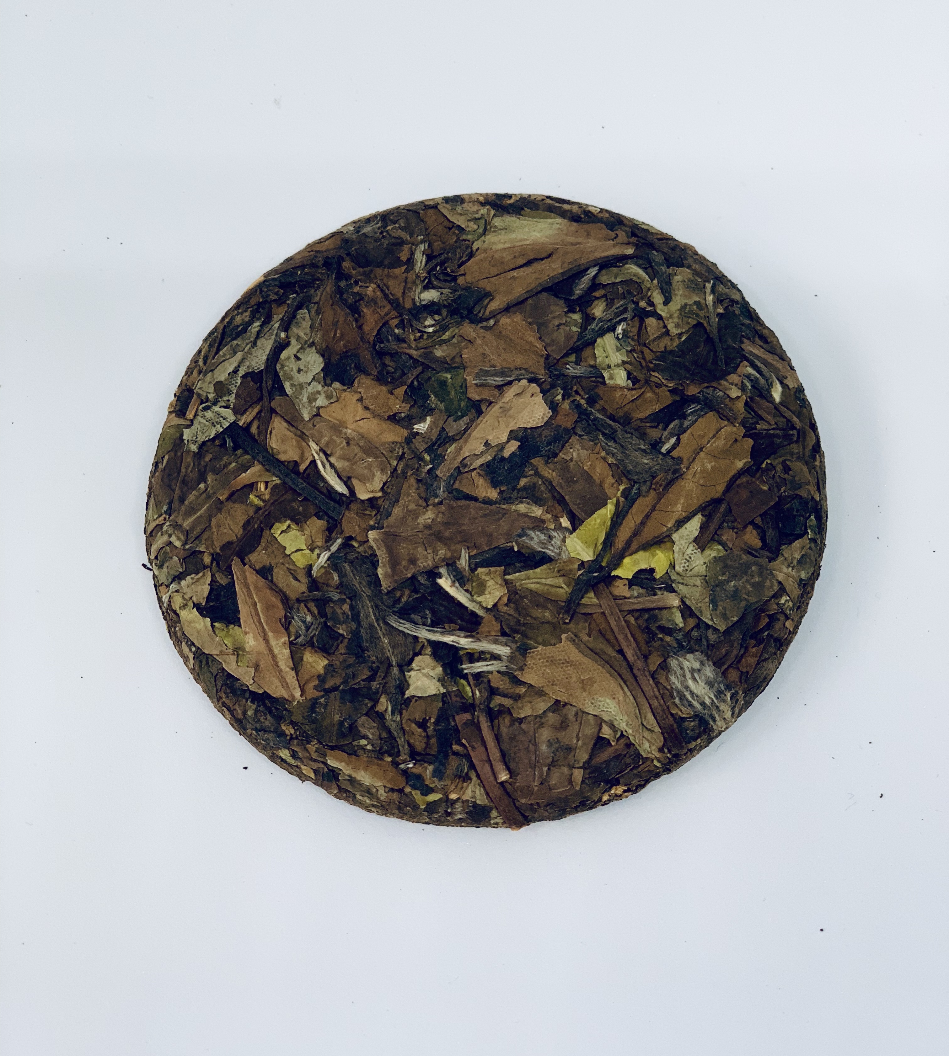 Old Bush Shoumei (Longevity Eyebrow) White Tea 1