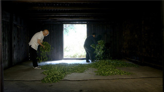 burning pine leaves in Qinglou shed