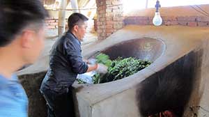 Stir-frying the leaves