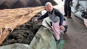 Master Chan explaining to us the how tea leaves undergo fermentation