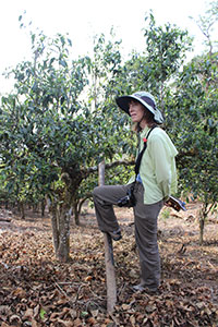  Lisa standing next to an old-growth tea tree